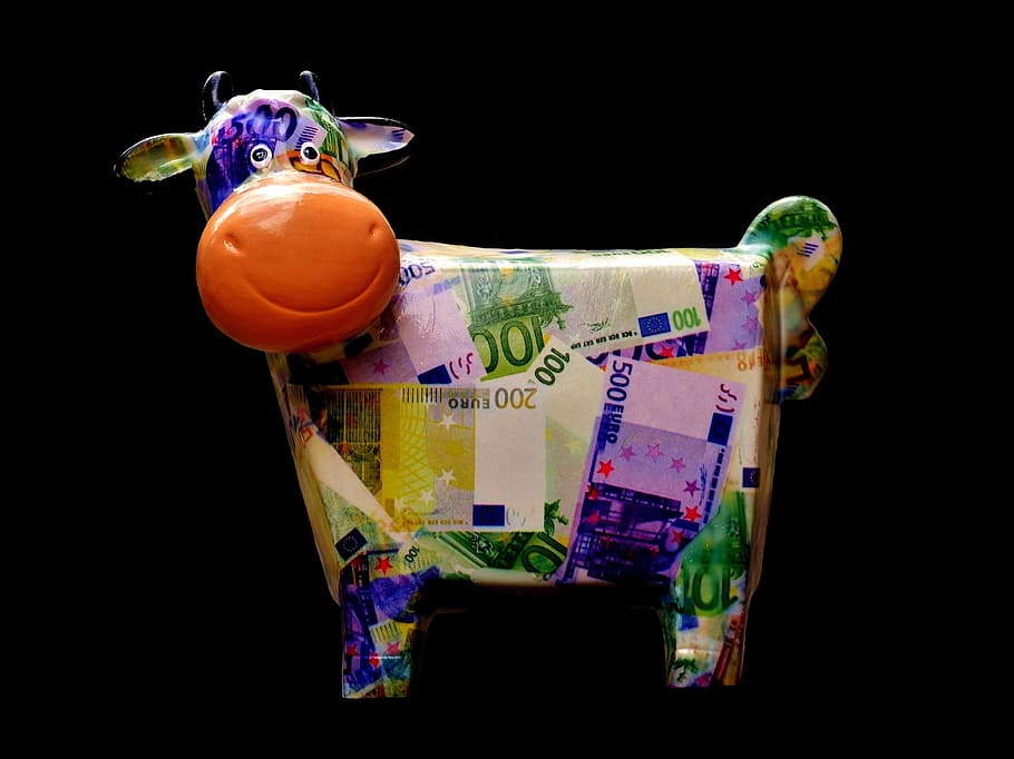 piñata de vaca, vaca, guardar, dinero, hucha, divertido, cerámica, billete de banco, Foto de estudio, fondo negro