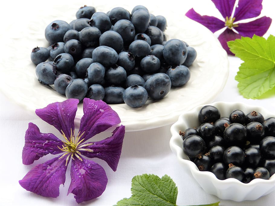 purple, clematis, blackberries, blueberries, black currants, blossom, bloom, leaves, frisch, ripe