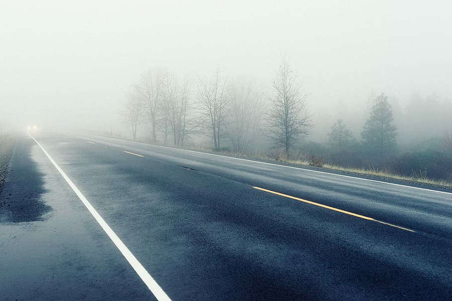 concrete, road, trees, concrete road, black, fog, gray, roads, white, winter