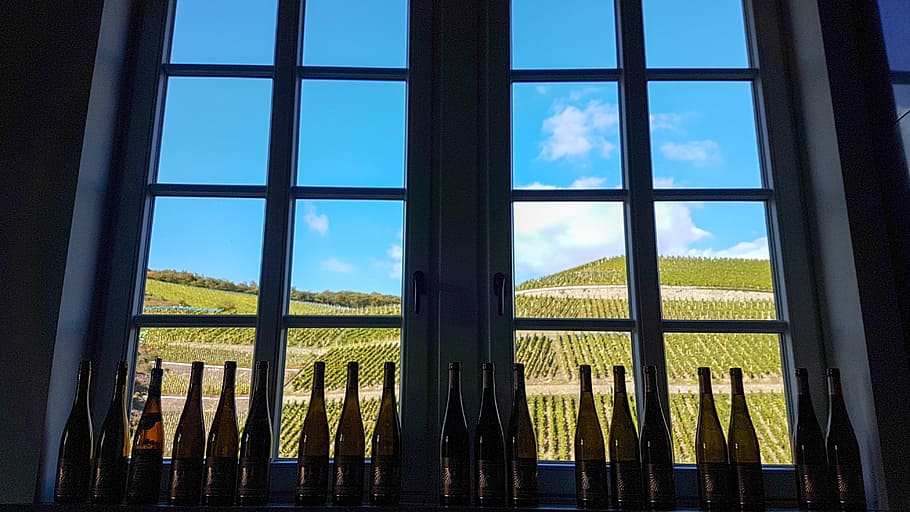 window, view, mountains, wine, vineyard, nature, landscape, wine bottles, time out, rest
