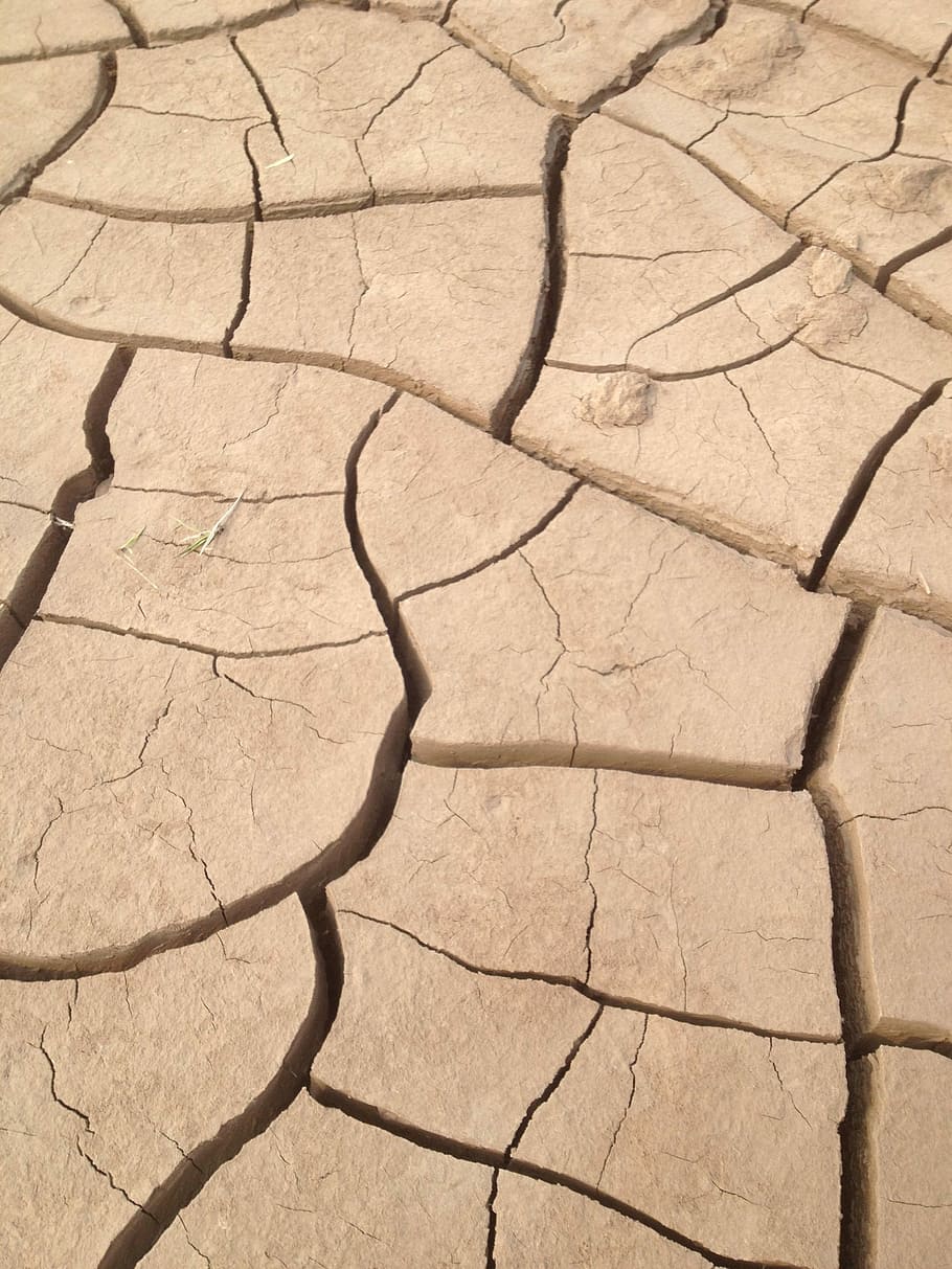 Earth, Loess, Cracking, the earth, shriveled, crack, drought, cracked, arid climate, land