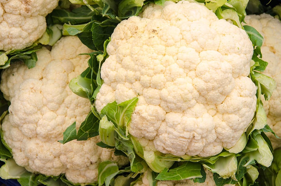 cauliflower, head, white, nutrition, harvested, tasty, natural, vegetables, harvest, ripe
