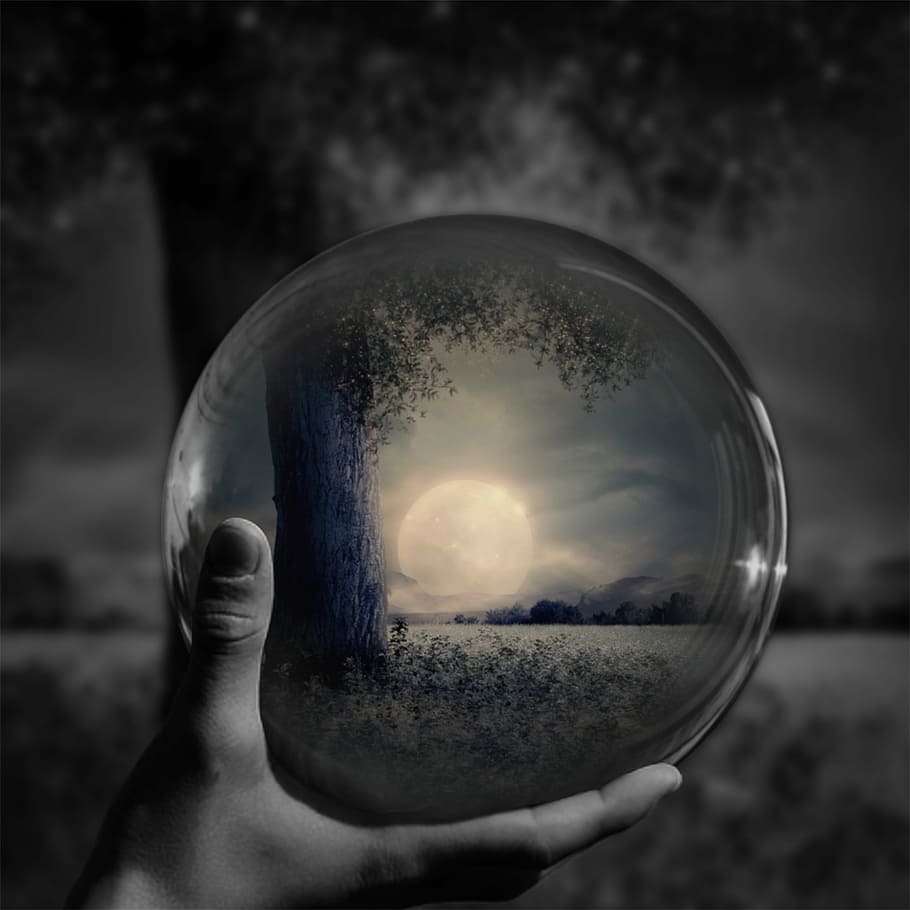 clear glass ball, ball, moon, sphere, forest, black and white, human hand, hand, holding, human body part