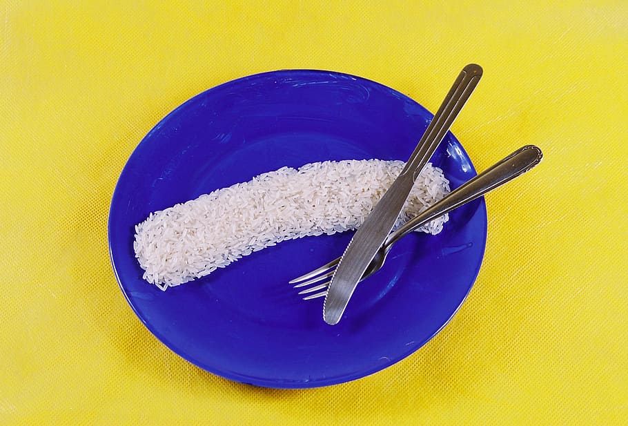 rice, plate, fork, knife, brazil, flag, blue sauce, brazilian flag, eating utensil, blue