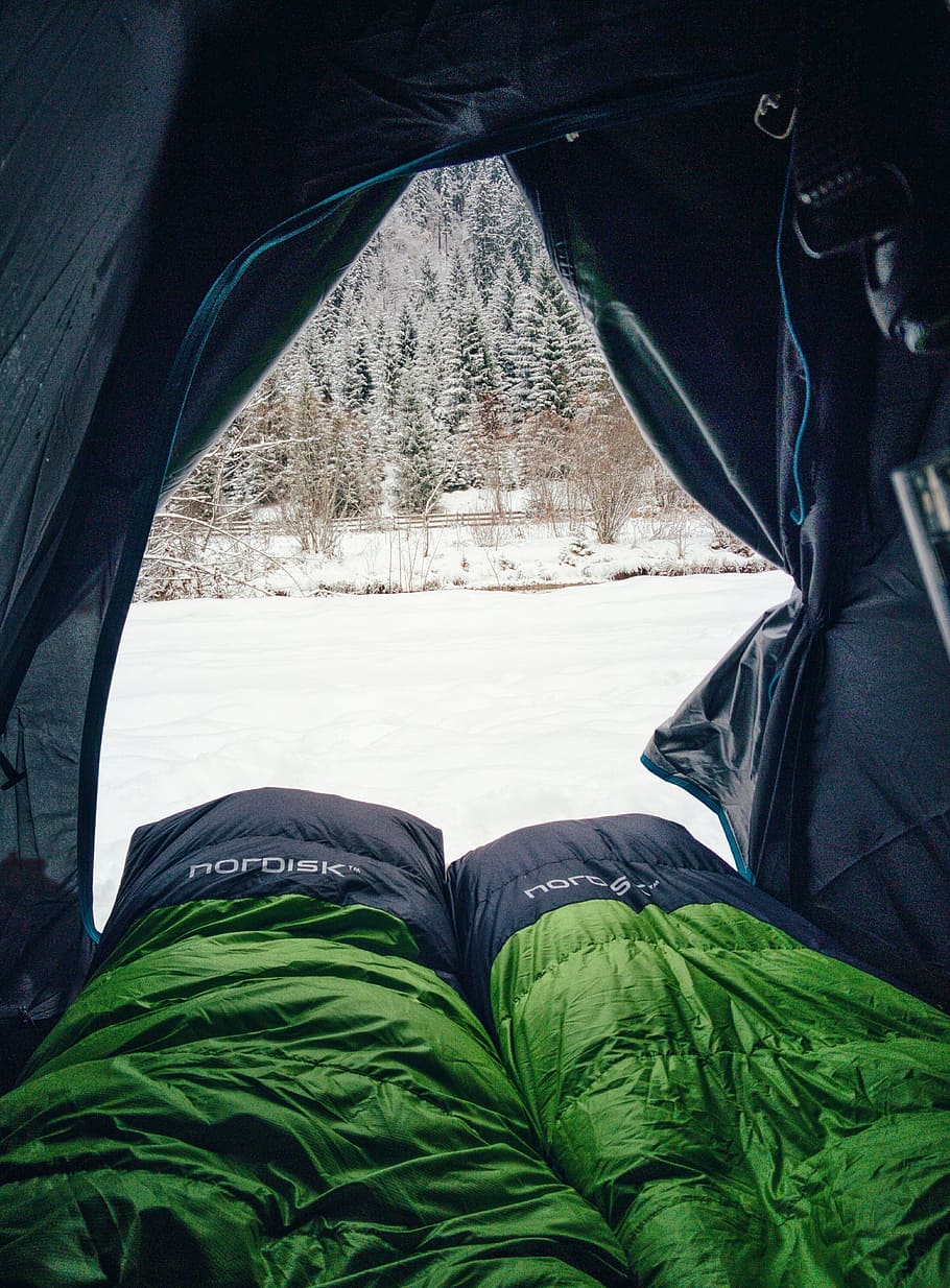dua, hitam-dan-hijau, tidur, tas, di dalam, tenda, hijau, berkemah, dingin, musim dingin