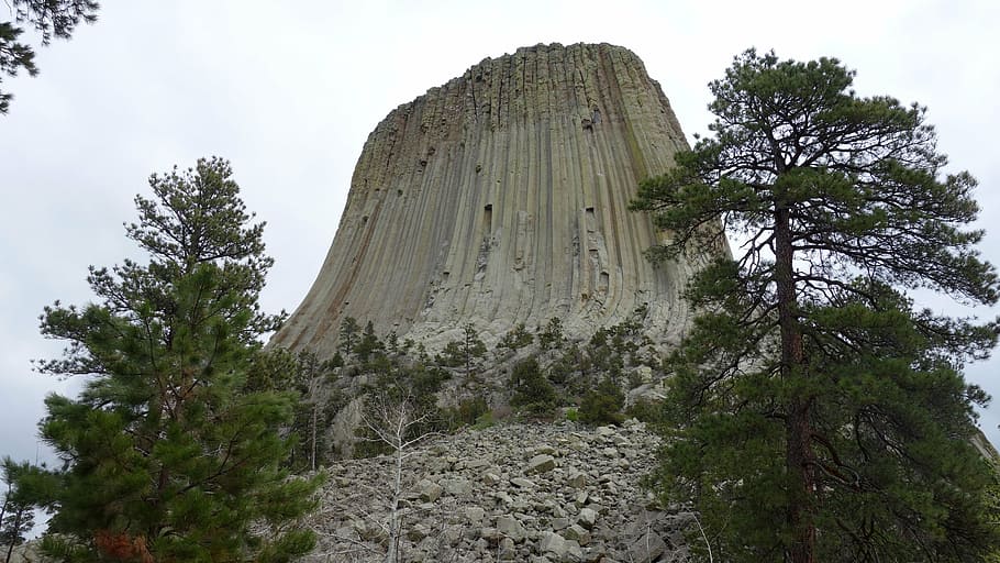 devils tower, national park, america, rock, grooves, landscape, nature, usa, united states, erosion