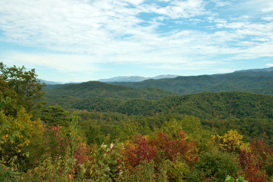 Tennessee, montañas humeantes, montañas, paisaje, smokies, pacífico, cielo, nubes, bosque, campo