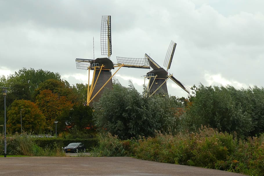 mills, rotterdam, netherlands, wicks, architecture, forest kralingse bos, mill blades, windmills, sky, plant