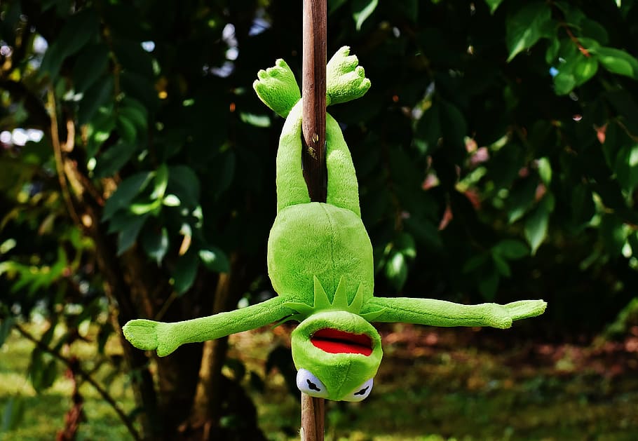 kermit, frog, plush, toy, hanged, wooden, stick, outdoors, pole dance, funny