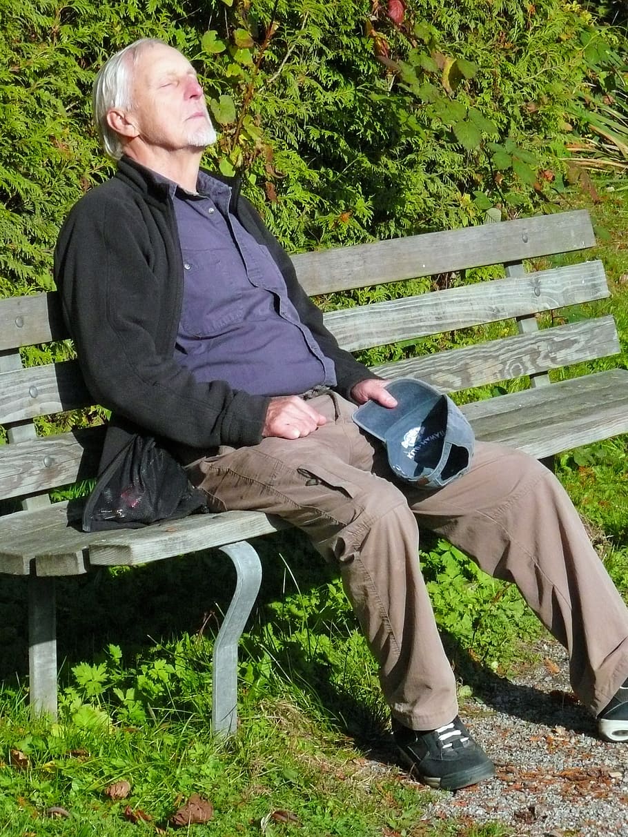 man, sitting, wooden, bench, plants, resting, old, human, person, park
