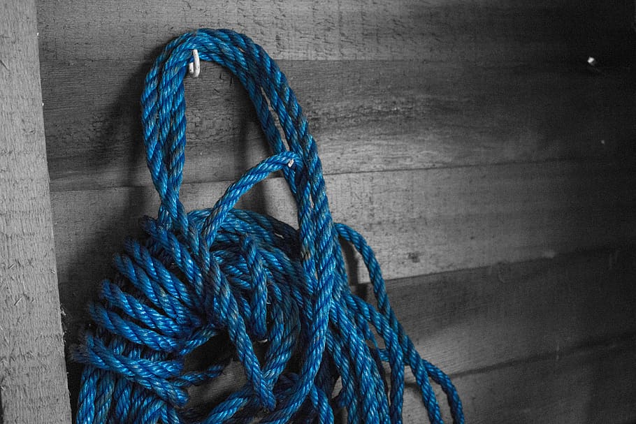 azul, cuerda, granero, vaquero, cuerda azul, cobertizo, áspero, lazo, fuerza, primer plano