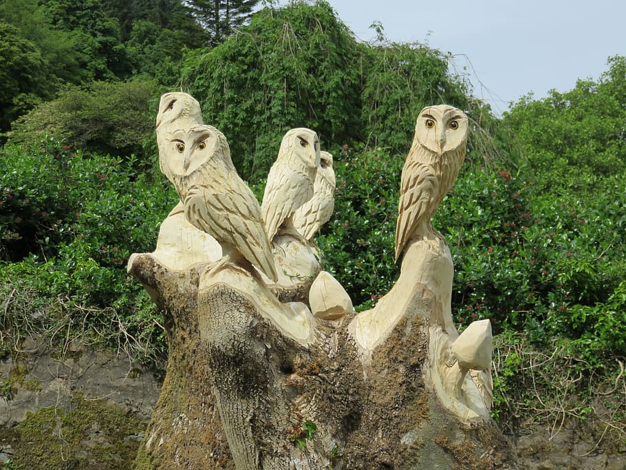 carved owls, wise, wood, owl, carving, wisdom, nature, beak, carved, bird