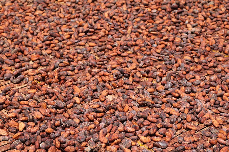 ココア豆, アフリカ, ガーナ, ドライ, ココア, 西アフリカ, 背景, 茶色, 食品, クローズアップ