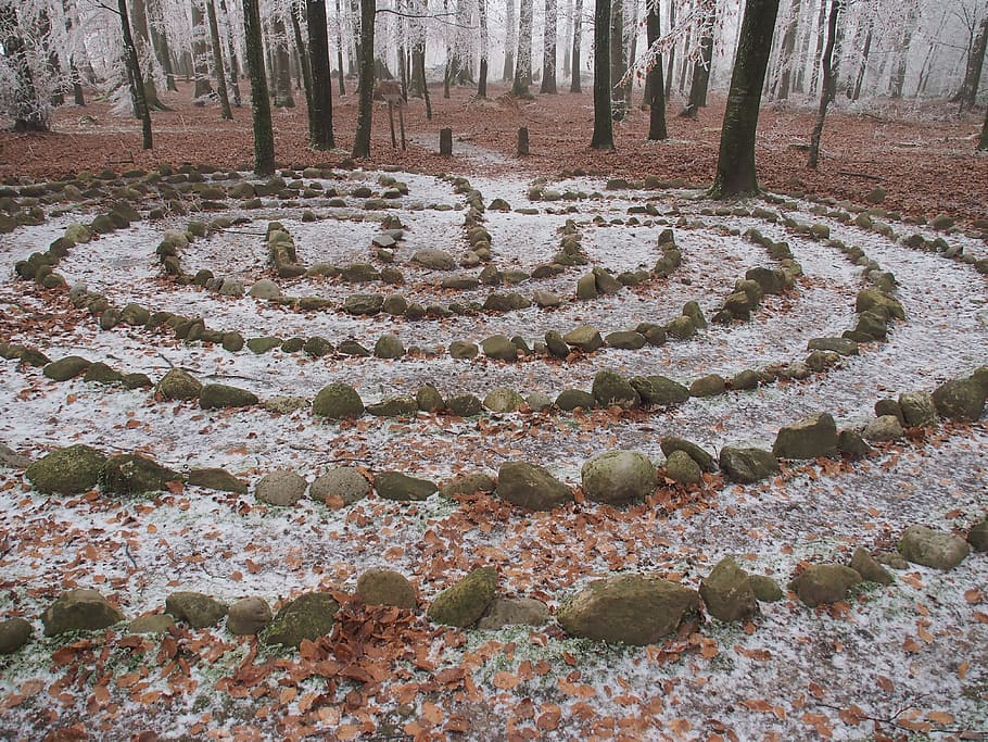 Floresta, inverno, labirinto, natureza, meditação, distância, centro, ir, ninguém, dia