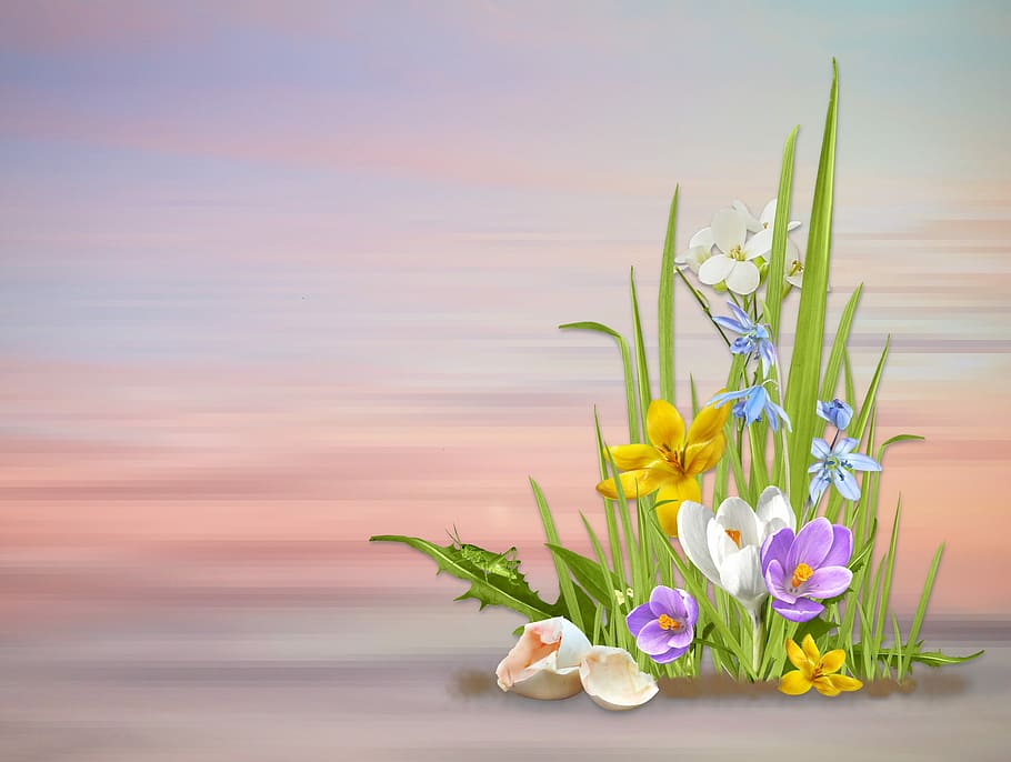 flores de colores variados, rosa, superficie, primavera, flores de primavera, naturaleza, planta, temporada, hoja, tallo
