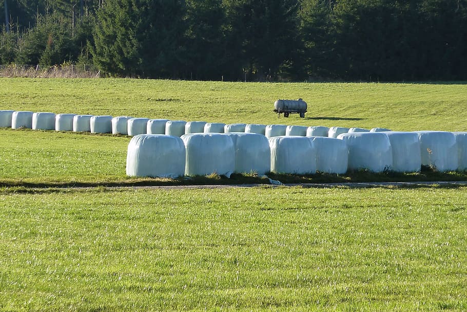 silage, food, agriculture, cattle feed, feed stock, hay, plastic, slide, straw role, wrapped up