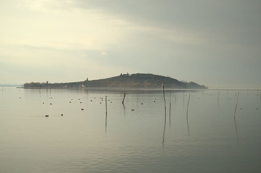 Lake, Trasimeno, View, Fog, Island, lake, trasimeno, fog, island, water, reflection, nature