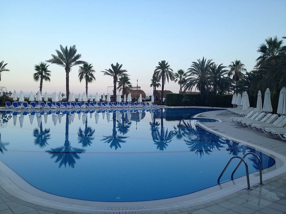swimming, pool, surrounded, palm trees, relax, water, blue, hotel complex, silent, abendstimmung