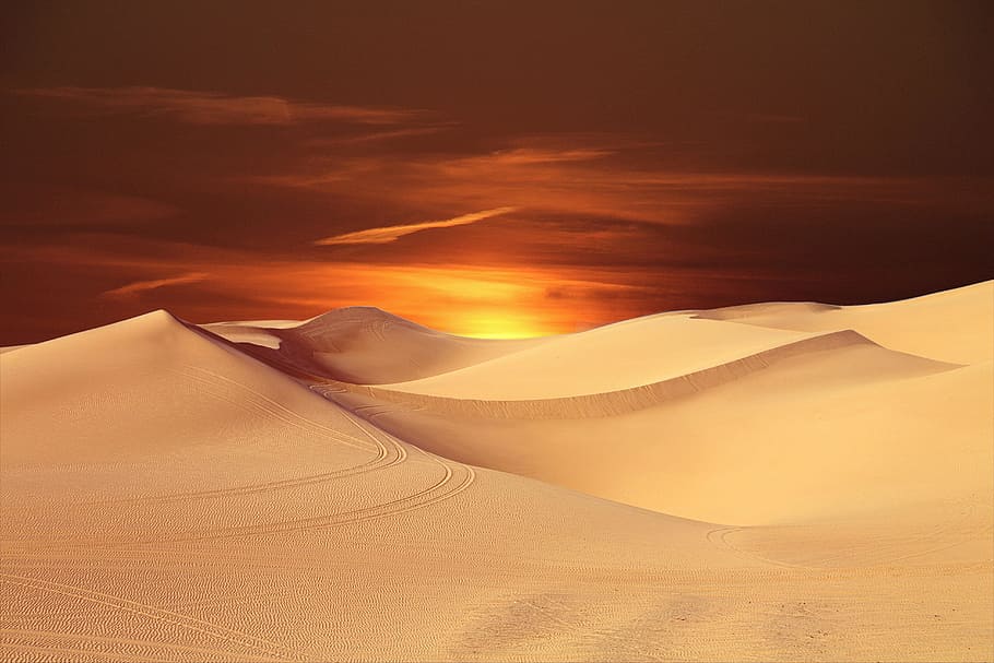 lukisan gurun, gurun, matahari, pemandangan, matahari terbenam, bukit pasir, perjalanan, cakrawala, gambar, ketenangan