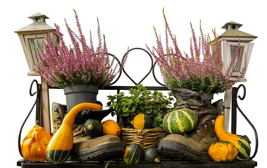 squash vegetables, autumn mood, pumpkin, autumn, decoration, gourd, thanksgiving, lamp, autumn decoration, lantern