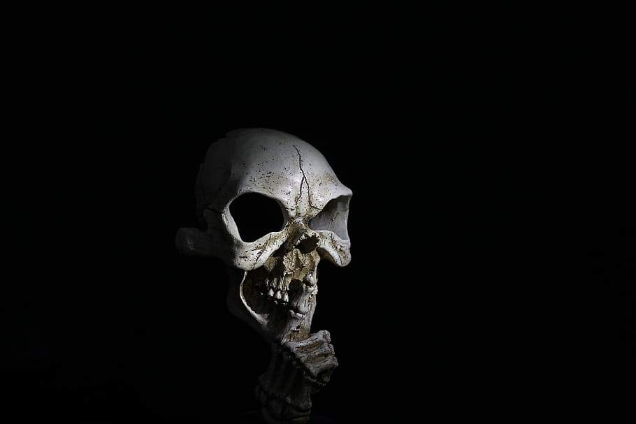 skull, horror, skeleton, nervous, darkness, dark, creepy, halloween, ghostly, skull and crossbones