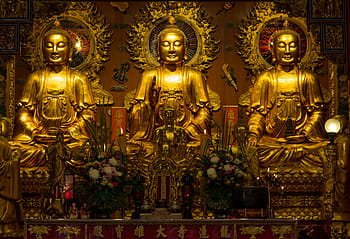 statues-buddha-re-religion-asia-temple-royalty-free-thumbnail.jpg
