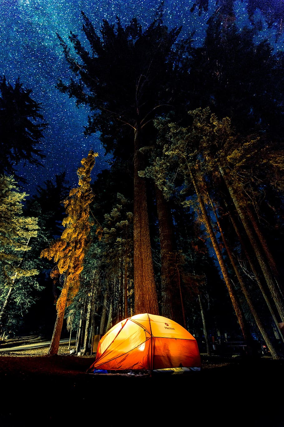lighted, dome tent, trees, starry night, orange, tent, surrounded, nighttime, dark, night