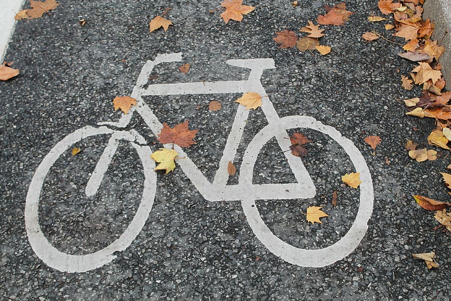 blanco, señal de bicicleta, carril bici, bicicleta, otoño, ciclovía, ciclistas, rueda, ciclismo, carretera