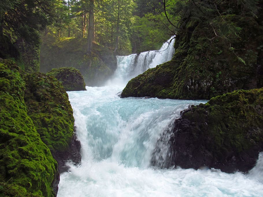 Spirit Falls, trilha, Little White Salmon River, WA, cachoeiras durante o dia, agua, cascata, paisagens - natureza, floresta, beleza da natureza