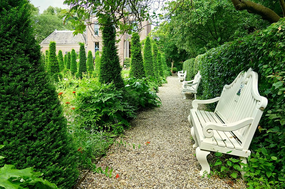 white, wooden, benches, pathway, plant topiaries, Bench, Seat, Furniture, Wood, bench, seat