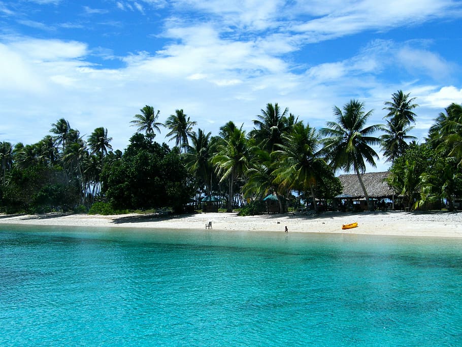 cuerpo, agua, durante el día, Islas Marshall, Estados Unidos, playa, costa, orilla, palmeras, agua azul