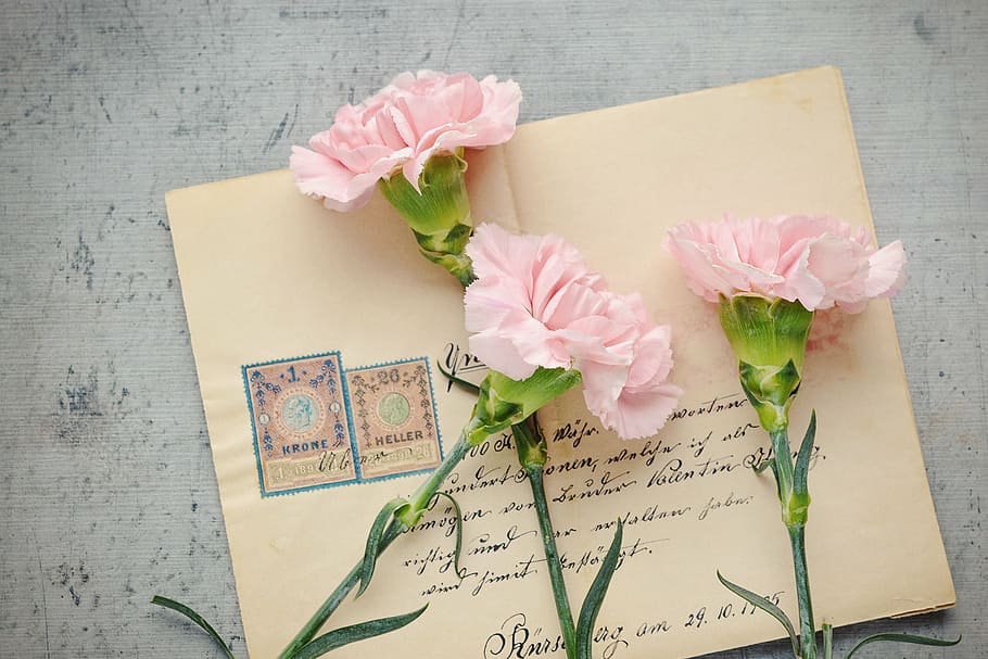 tres, rosa, flores de pétalos, cartas, sobre, antiguo, poste, etiquetado, papel, clavo
