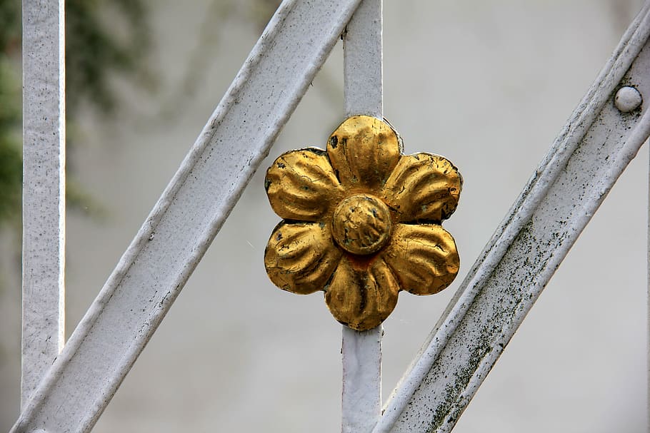 macro photography, yellow, flower ornament, white, steel bar, flower, gold, metal, close-up, gold colored