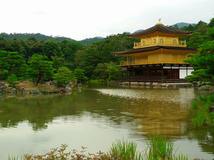 japan, the scenery, temple of the golden pavilion, architecture, water, built structure, tree, building exterior, lake, reflection