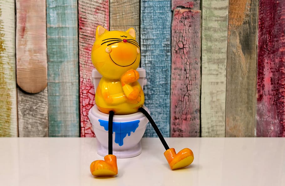 ceramic, yellow, cat, sitting, toilet, bowl, figurine, close-up, litter box, figure
