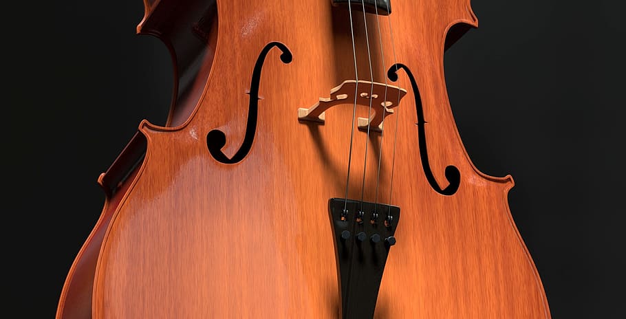 brown, cello string instrument, cello, strings, stringed instrument, detail, wood, instrument, classical music, musical instrument