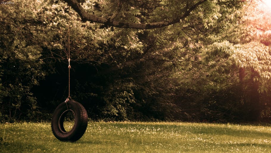 swing tire chair, tree, grass, daytime, swing, tire, chair, tireswing, photography, photoshop