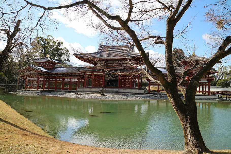 lake view, byodo-in temple, uji, water, architecture, built structure, tree, building exterior, plant, lake