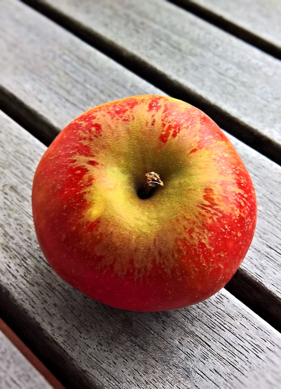 apple, host a cox, old apfelsorte, north german, new crop, autumn, pome fruit, fruit, red, healthy