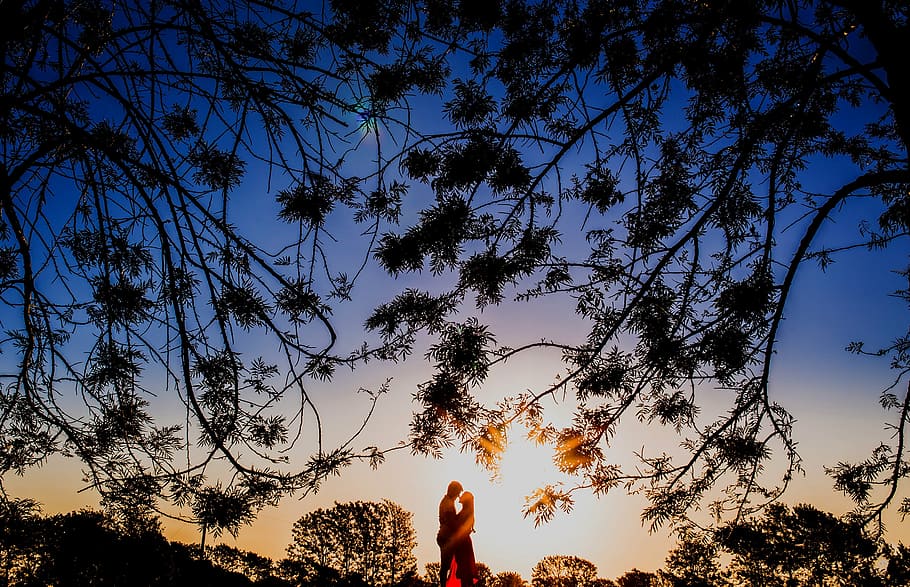 silhouette, man, woman, facing, tree, blue, hour, kissing, near, trees