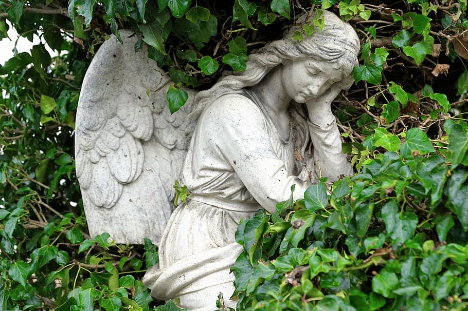 gris, estatua del ángel, al lado, plantas, ángel, dios, religión, fe, cristiano, cristianismo