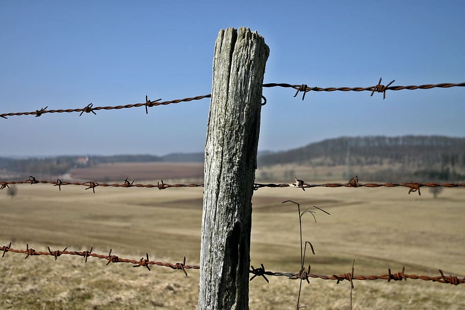 fence, barbed wire fence, post, cattle consecrate, pasture, fencing, meadow, field, agriculture, nature
