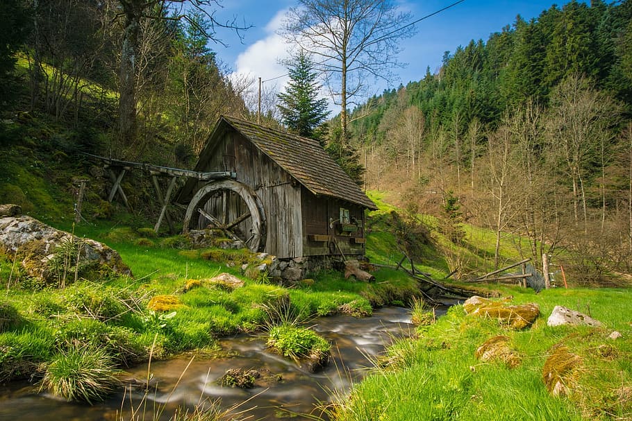 brown, wooden, house, lake, surrounded, trees painting, mill, black forest, bach, water