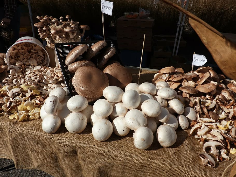 gray stones, farmers market, fresh, ripe, mushrooms, grocery, produce, farm, table, display