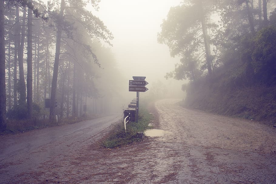 fotografia, 2 caminho raods, itália, toscana, estrada, nevoeiro, enevoado, outono, nevoento, encruzilhada