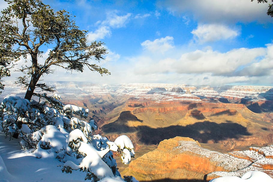 Grand Canyon, invierno, niña, nacional, parque, Arizona, Estados Unidos, mujer, paisaje, hombre