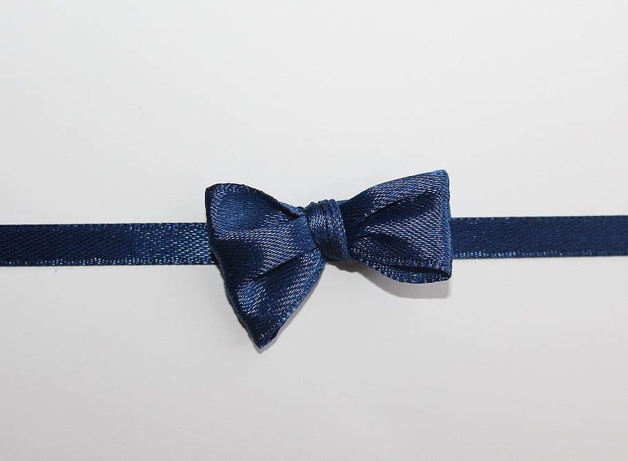 azul, corbata de lazo, blanco, fondo, arco, la cinta de opciones, nodo, decoración, ornamento, color