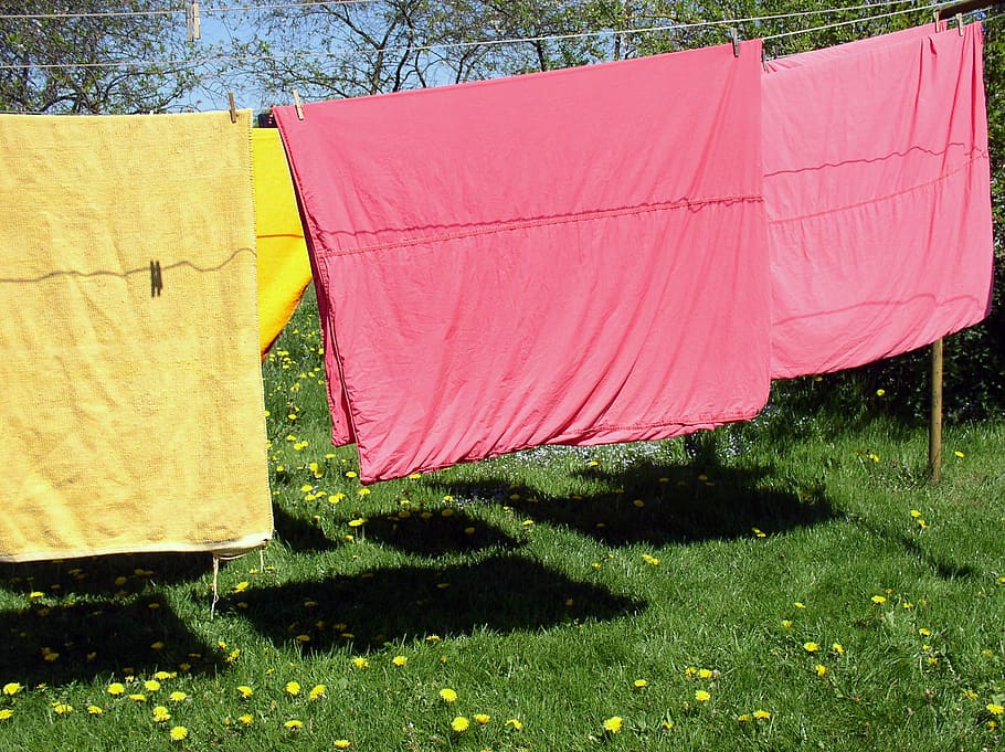 tendedero, lavandería, prado, verano, colgar ropa, color, depender, abrazadera, ropa seca, lencería colorida