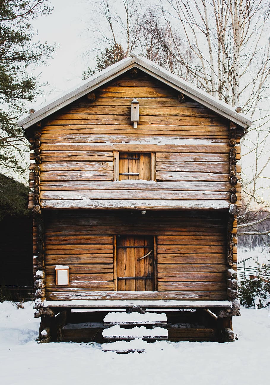 茶色, 木造, 家, 雪, 覆われた, フィールド, 冬, 白, 寒さ, 天気