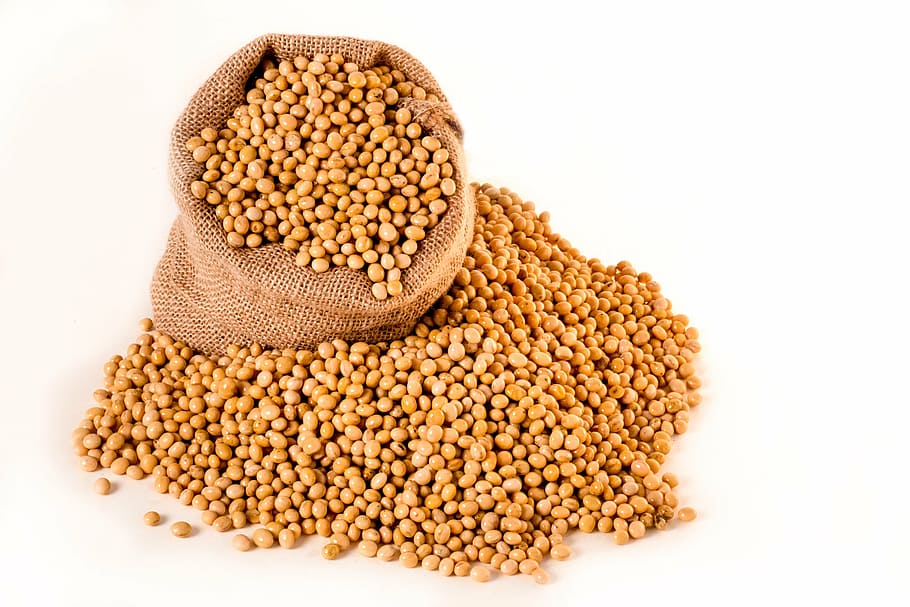 sack, brown, beans, soybeans, plants, seeds, bag, burlap, grain, oil